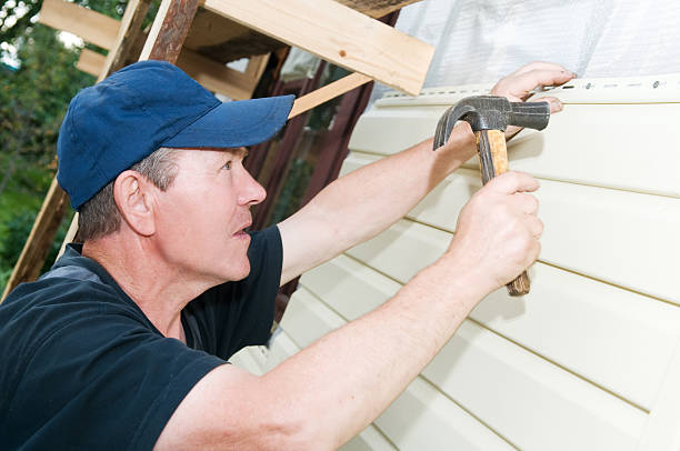 Best Siding Replacement  in Freeland, PA