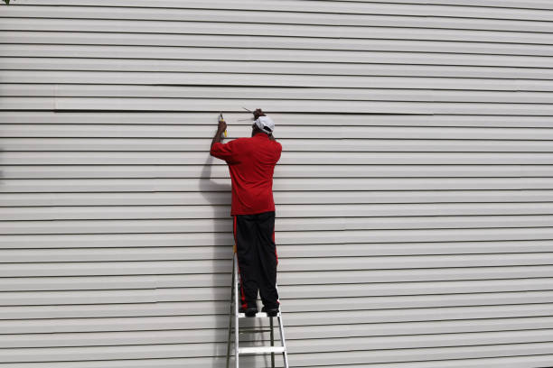 Best Historical Building Siding Restoration  in Freeland, PA